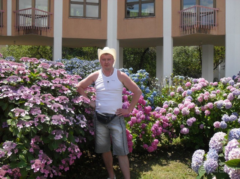 фото Самшитовая роща