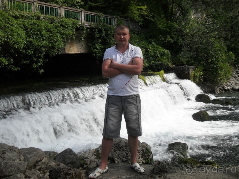 фото Самшитовая роща