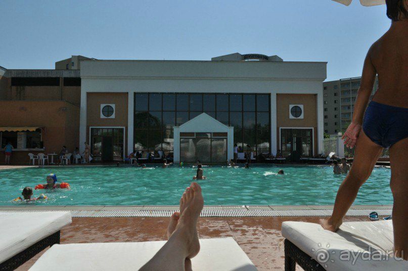 фото Самшитовая роща