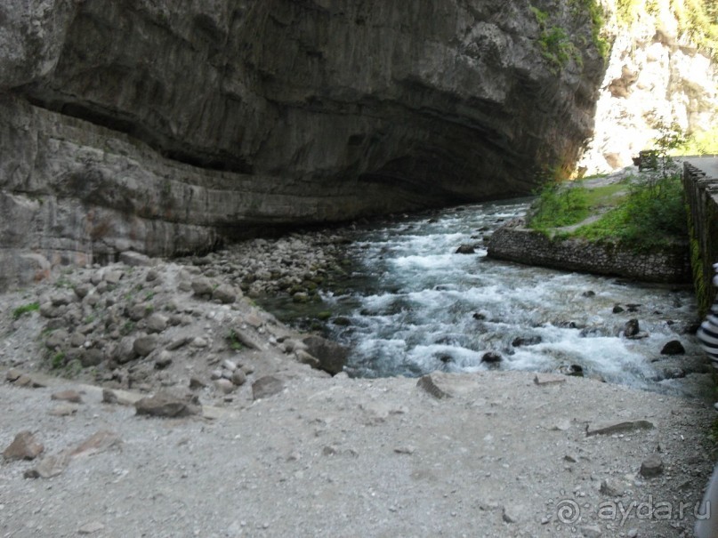 фото Самшитовая роща