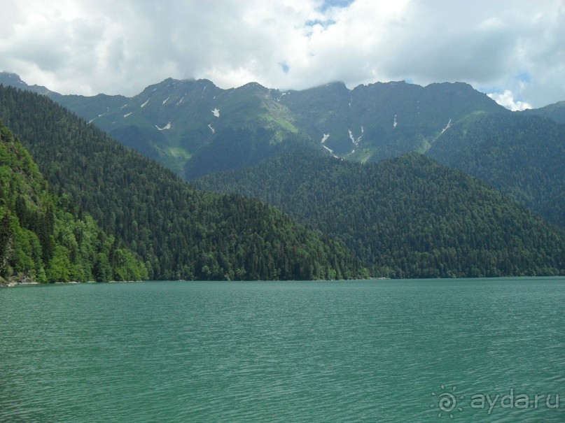 фото Самшитовая роща