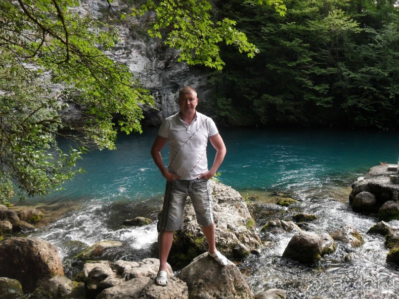 фото Самшитовая роща