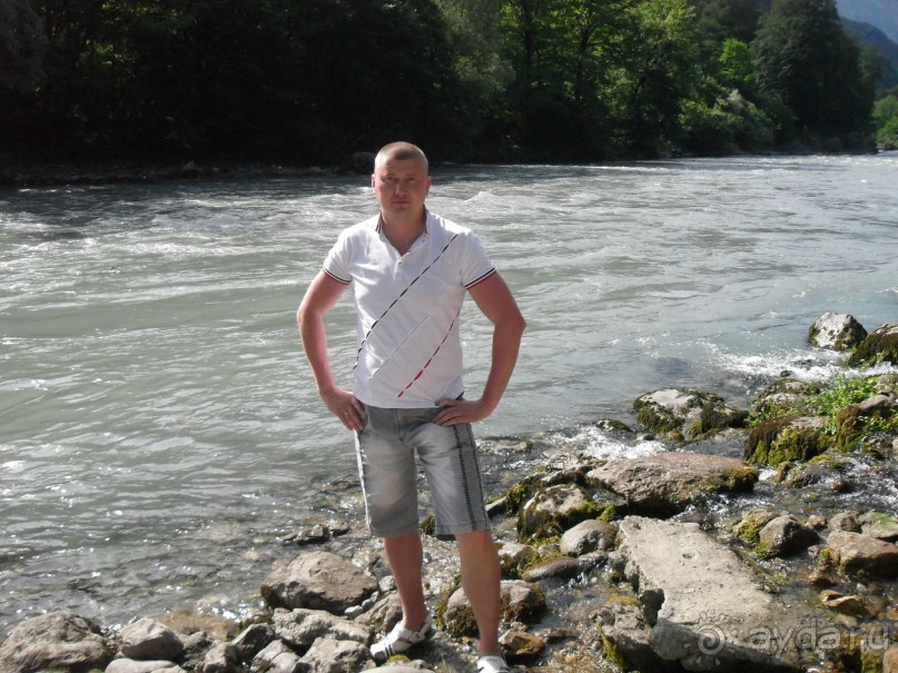 фото Самшитовая роща