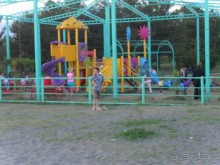 фото Самшитовая роща
