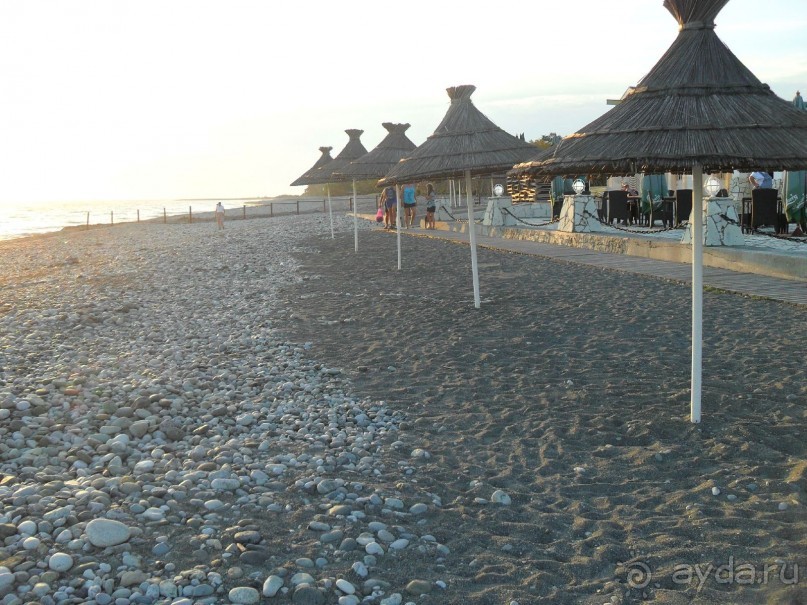 фото Самшитовая роща