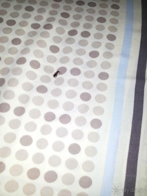 Незнаю,кто пишит столь лестные слова, в адрес этого заведения,но скажу прямо место отстойное,руковод