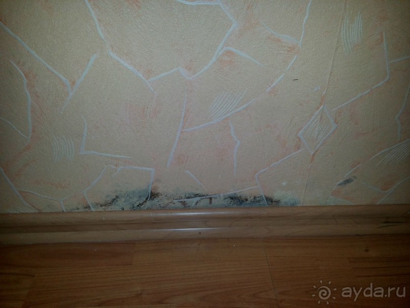 Незнаю,кто пишит столь лестные слова, в адрес этого заведения,но скажу прямо место отстойное,руковод