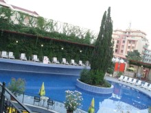 фото Кипарисите