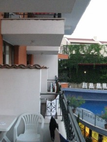 фото Кипарисите