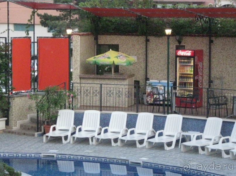 фото Кипарисите