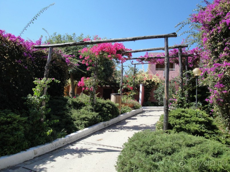 Чудесная бирюзово-золотая Сардиния