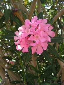 Хотим туда ещё!