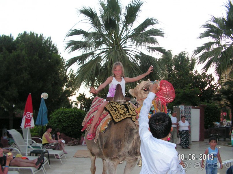 Хотим туда ещё!