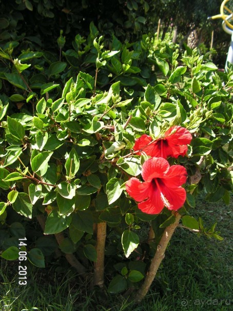 Хотим туда ещё!