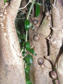 Хотим туда ещё!