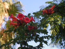 Хотим туда ещё!