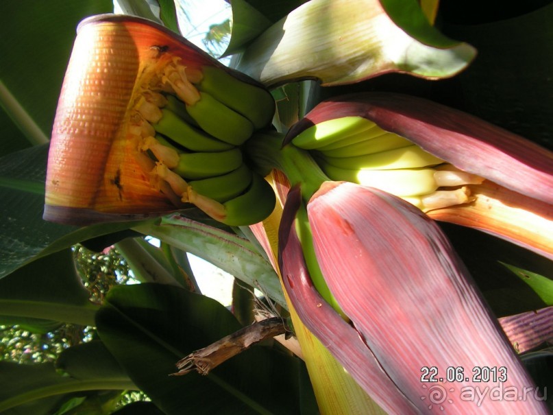 Хотим туда ещё!