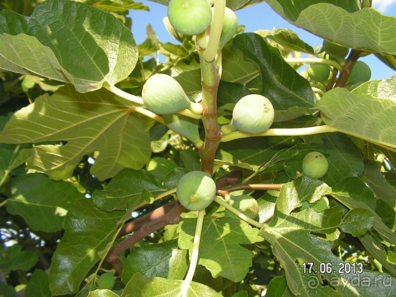 Хотим туда ещё!