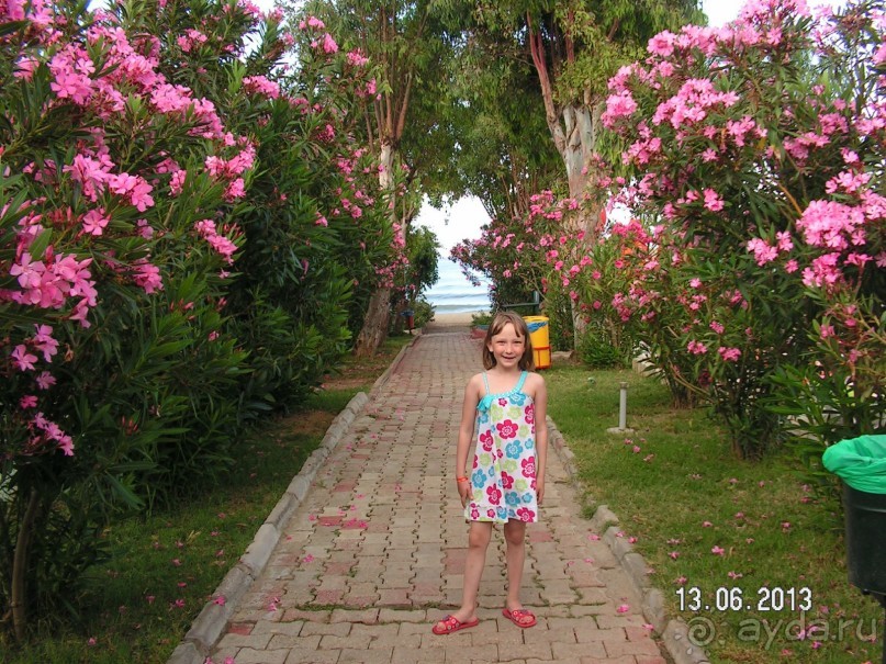 Хотим туда ещё!