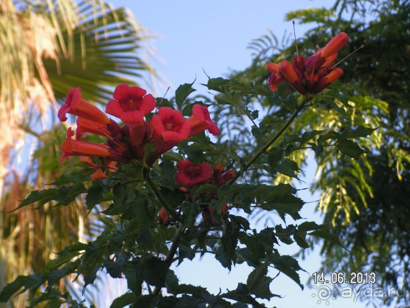 Хотим туда ещё!