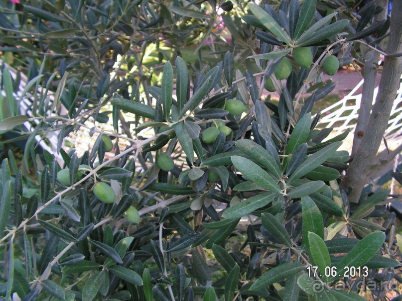 Хотим туда ещё!