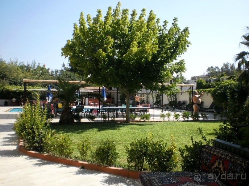 Обзор отдыха.