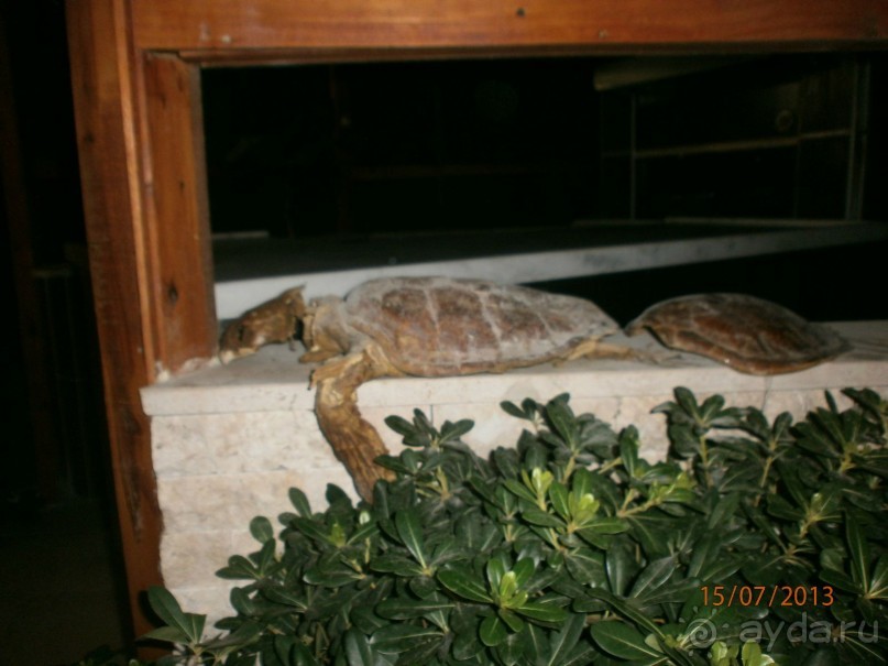 ОТДЫХ СУПЕР 