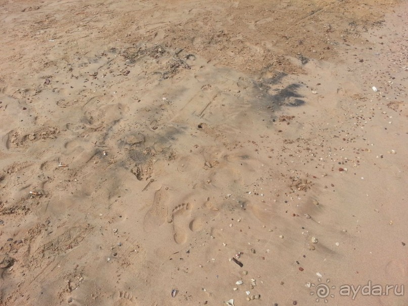 Хороший отель для дайверов