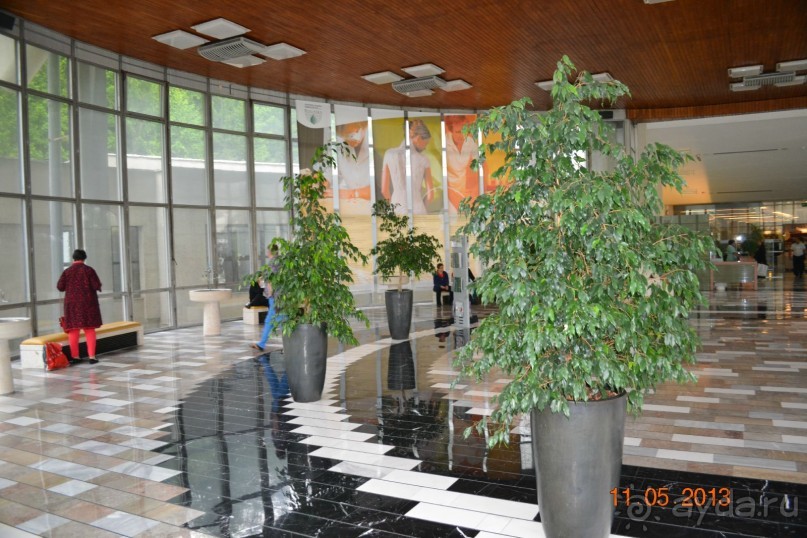 Незабываемая Рогашка!