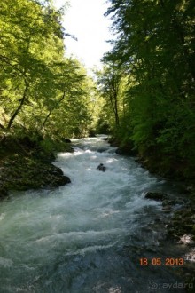 Незабываемая Рогашка!