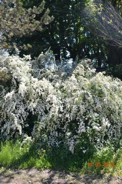 Незабываемая Рогашка!