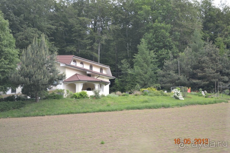 Незабываемая Рогашка!