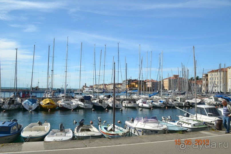 Незабываемая Рогашка!