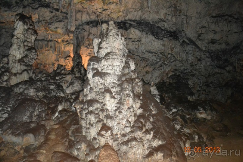 Незабываемая Рогашка!