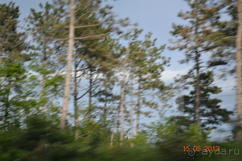 Незабываемая Рогашка!