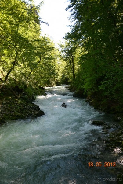 Незабываемая Рогашка!