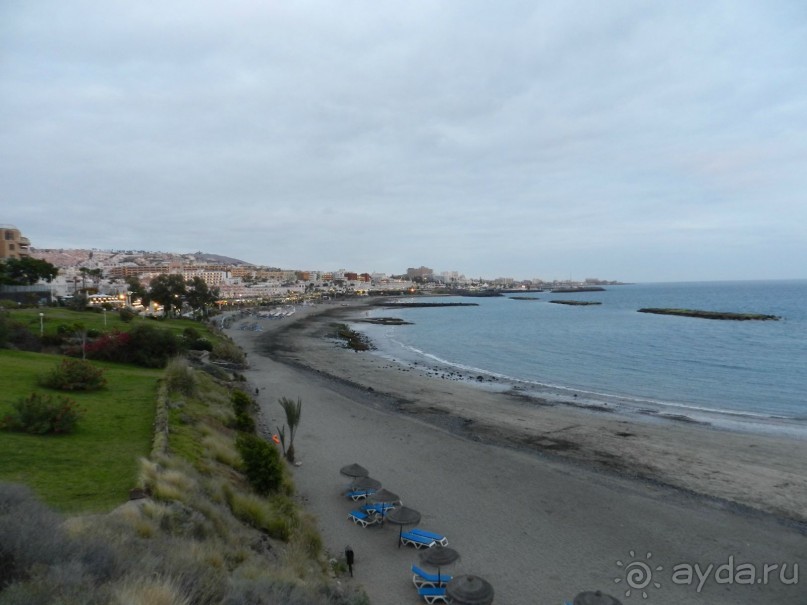 фото Crystal Palace