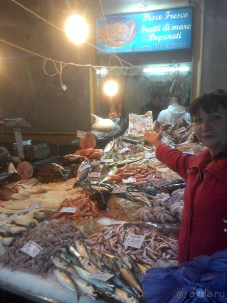 фото Катаньи