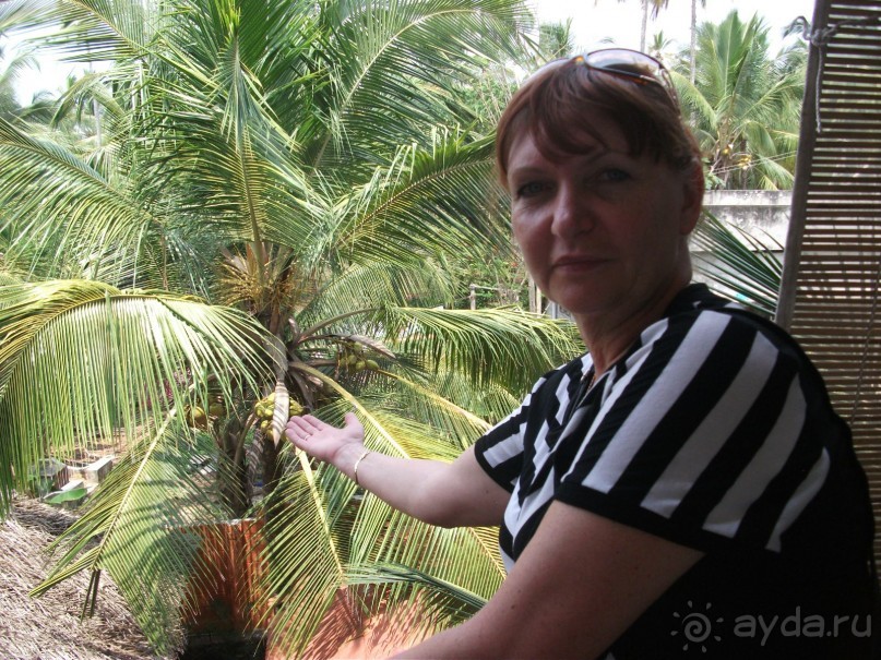 Отличное сочетание отеля и  аюрведического санатория.