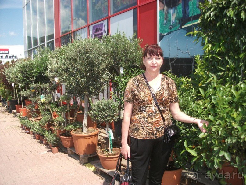 Мой подарочный тур на 55-летие. Часть 3.  Австрия, Каринтия, озеро Факер Зее