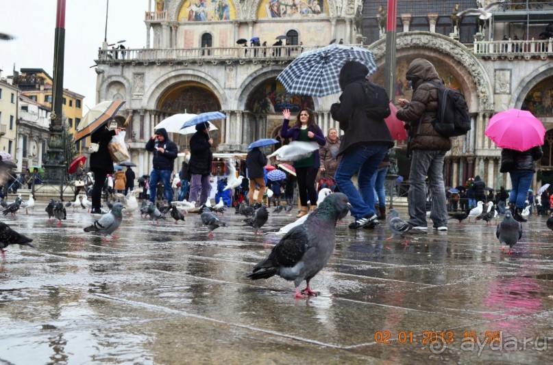 Венеция. На площади Сан-Марко