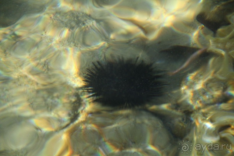 Порфи - маленький Рай