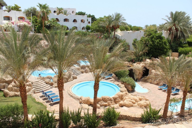 фото Domina Coral Bay Oasis