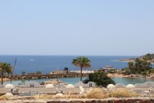 фото Domina Coral Bay Oasis