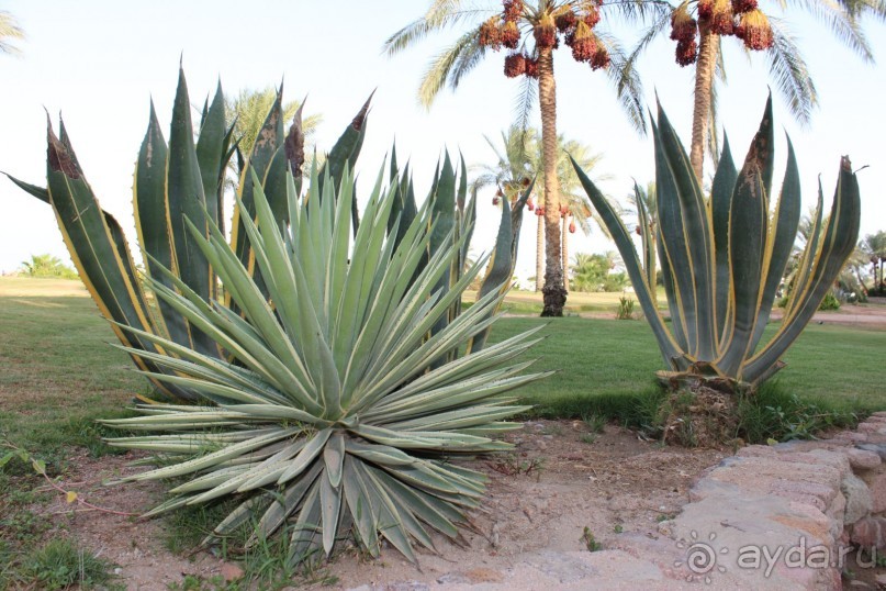 Было классно)))