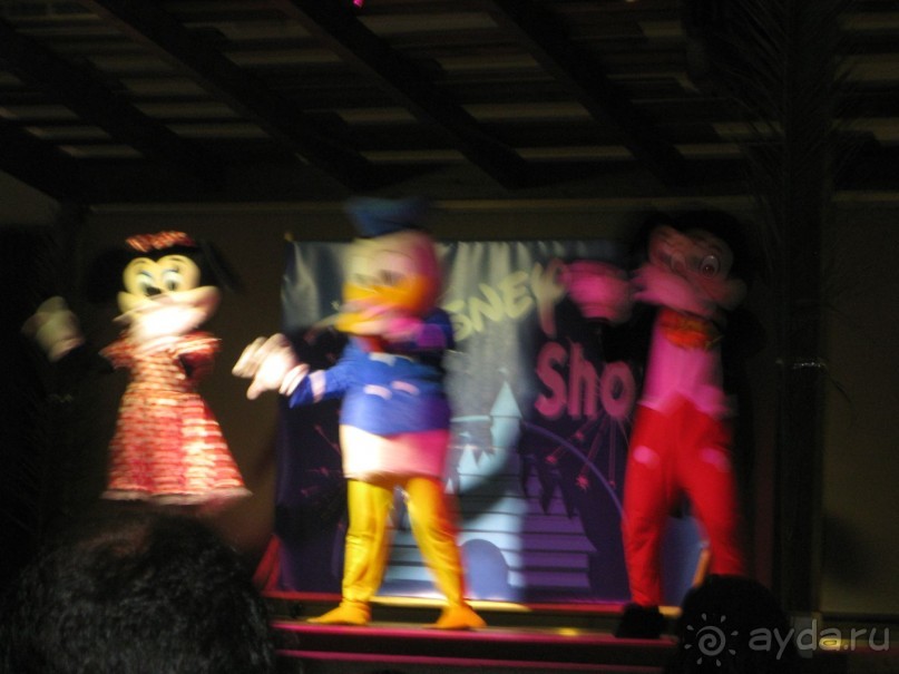 этот отдых и отель не забуду никогда!