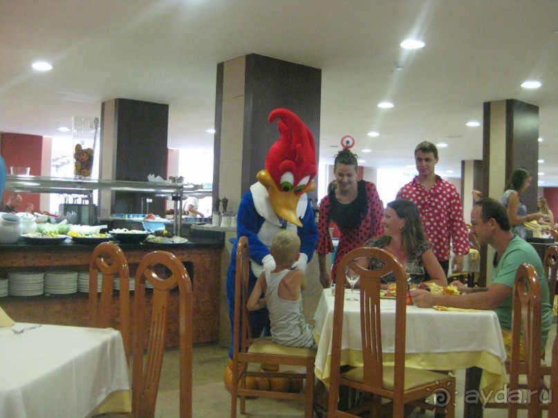 этот отдых и отель не забуду никогда!