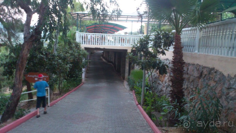 Очень понравилось!