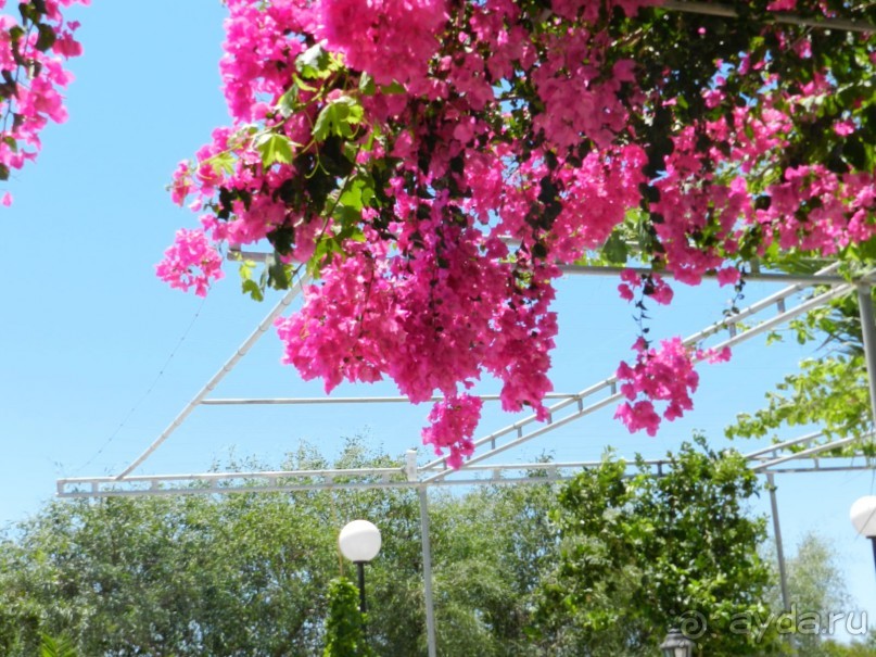 хороший отель