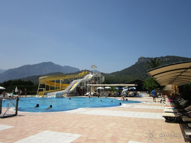 фото Дюны золотые